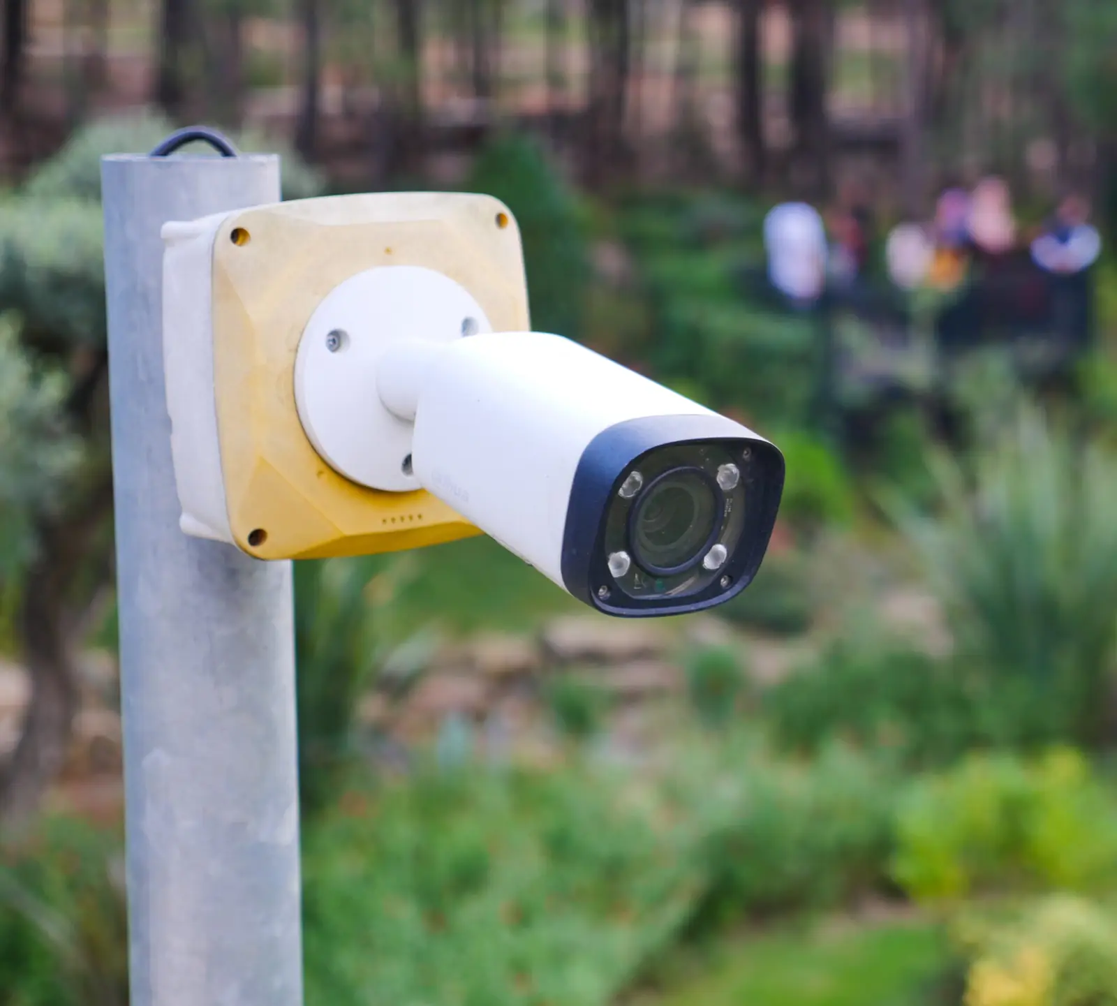 A temporary CCTV camera mounted on a post in a wooded event site